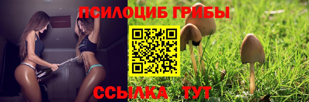 Галлюциногенные грибы мухоморы  Вход с VPN  Галлюциногенные грибы Psilocybe  Лосино-Петровский 